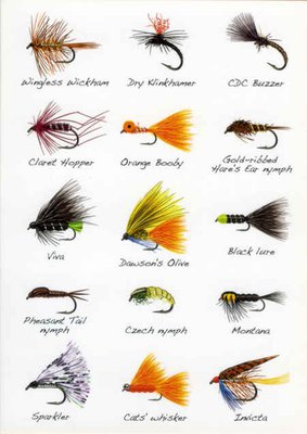 Angling Knots Andy Steer Greetings Cards Flies